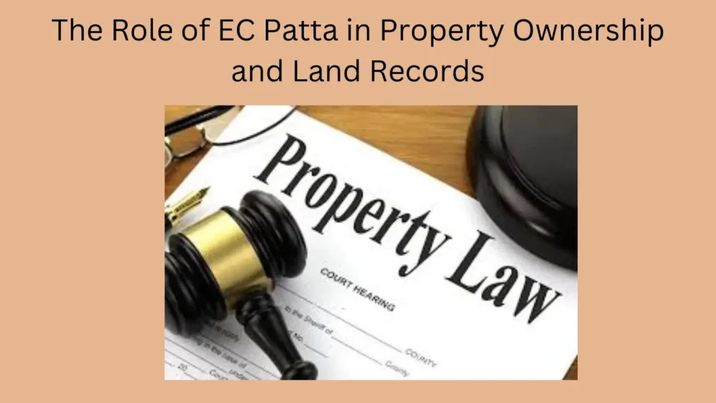 The Role of EC Patta in Property Ownership and Land Records